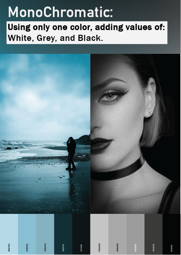 Revised Monochromatic infographic.